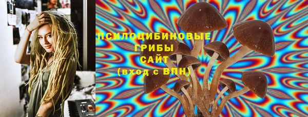 PSILOCYBIN Алексин
