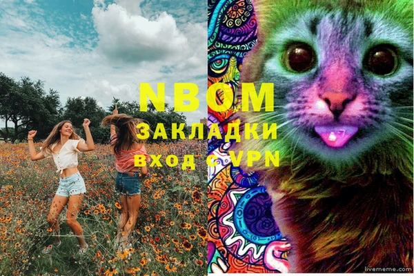 PSILOCYBIN Алексин