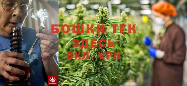 PSILOCYBIN Алексин
